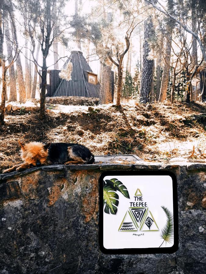 Glamping The Teepee Mombeltrán