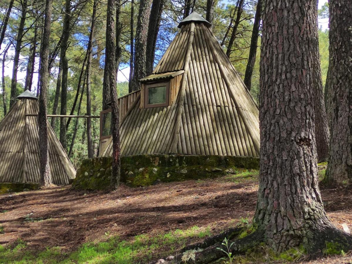 Glamping The Teepee Luxuszelt