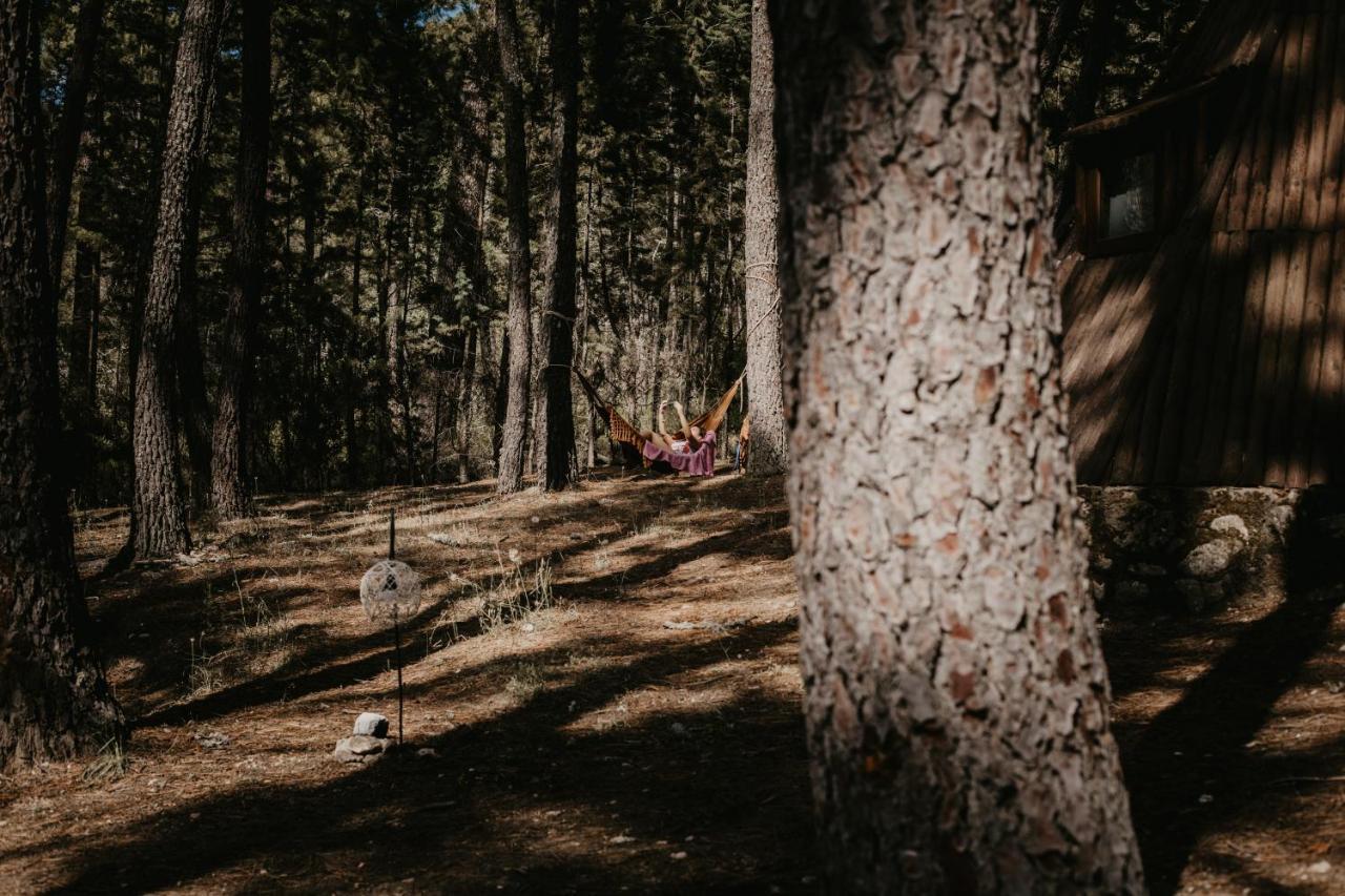 Glamping The Teepee